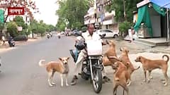 लॉकडाऊन काळात प्राणिमित्र रणजित दासांकडून 200 भटक्या कुत्र्यांसाठी रोज 40 किलो बिर्याणी : नागपूर