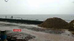 Yaas Cyclone Update: ধেয়ে আসছে ঘূর্ণিঝড় ইয়াস, বুধবার দুপুরে আছড়ে পড়বে বালেশ্বরে