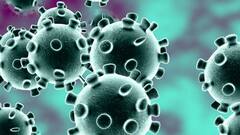 Uttarakhand में तेजी से कम हो रहा Corona, पिछले 24 घंटे में मिले 3050 नए मरीज | Pahad Prabhat