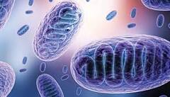 Black Fungus: મોંથી પણ ફેલાઇ શકે છે બ્લેક ફંગસ, આ સાવધાની રાખવી જરૂરી