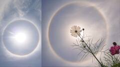 Sun Halo Photos: বেঙ্গালুরুর আকাশে সৌরবলয়, মুগ্ধ হয়ে দেখল গোটা দেশ