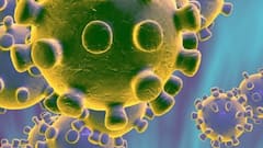 Corona Vaccination पर केंद्रीय स्वास्थ्य मंत्रालय का यूपी सरकार को पत्र, दिए ये निर्देश