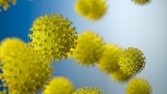 ॲंटीबॅाडीज म्हणजे काय? लसींचे दोन डोस घेतल्यानंतरही काही जणांचे मृत्यू, कोरोना,लसीकरण आणि ॲंटीबॅाडीज