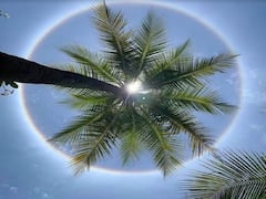 Sun Halo : आकाशातला भन्नाट नजारा पाहून लोक झाले चकित, बंगळुरुच्या अवकाशातील अद्भुत 'प्रभामंडला'चे फोटो व्हायरल 