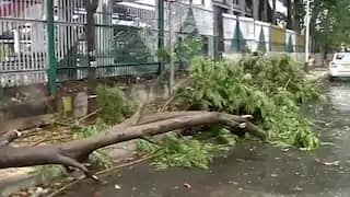 এলাকায় বিদ্যুৎ বিভ্রাট, খুঁটি উপরে যাওয়া, গাছ পড়ে যাওয়ার মতো ঘটনা ঘটলে স্থানীয় প্রশাসনের দেওয়া হেল্পলাইন নম্বরে যোগাযোগ করুন।