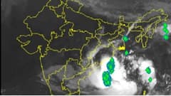 Cyclone Yaas: ইয়াসের দাপট সামলাতে কলকাতায় ওয়ার্ড ভিত্তিতে গাছকাটা, বিদ্যুতের কর্মী