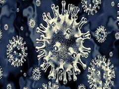 यूपी में तेजी से फैल रहा है ब्लैक फंगस, नॉन कोविड के मरीज भी हो रहे हैं इसका शिकार