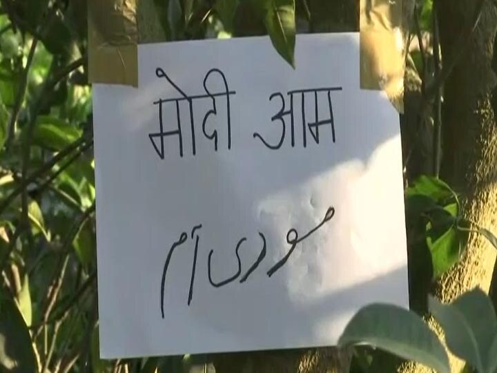 यूपी: कोरोना काल में जान गंवा चुके फ्रंटलाइन वर्कर्स को 'मैंगो मैन' ने दी अनोखी श्रद्धांजलि, दिलचस्प है वजह