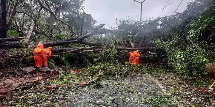 গাঙ্গেয় পশ্চিমবঙ্গের প্রত্যন্ত এলাকায় ২৬ তারিখ সন্ধ্যা থেকে ২৭ তারিখ সকাল পর্যন্ত ঝড়ের গতিবেগ থাকবে ৫৫-৫৬ কিলোমিটার/ঘণ্টায় এবং সর্বোচ্চ ৭৫ কিলোমিটার/ঘণ্টায়।