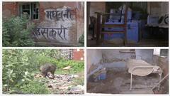 Bihar Hospital : খাতায় কলমে স্বাস্থ্যকেন্দ্র, কিন্তু যেন পোড়ো বাড়ি, মাসে একবার আসেন বেতনভুক স্বাস্থ্যকর্মীরা