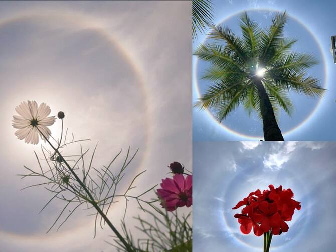 Sun Halo Unique Scenes Witnessed By Bengaluru Today Photo Viral What Is Sun  Halo