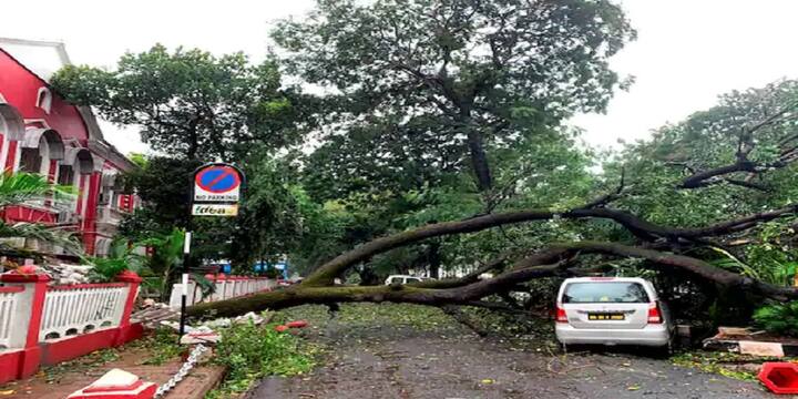 হাওড়া ও হুগলিতে বেগ থাকবে ৭০-৮০ কিলোমিটার/ঘণ্টায় এবং সর্বোচ্চ ৯০ কিলোমিটার/ঘণ্টায়। এছাড়া কলকাতার ক্ষেত্রে ৭০-৮০ কিলোমিটার/ঘণ্টায় এবং সর্বোচ্চ ৯০ কিলোমিটার/ঘণ্টায়।