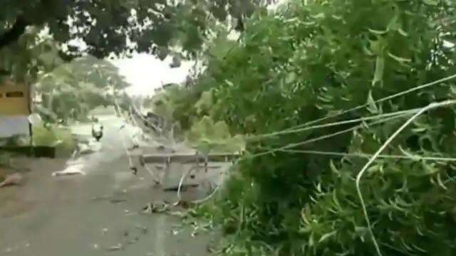জমা জলে তার পড়ে থাকলে সেটি স্পর্শ করবেন না। বিদ্যুতের তার ছিঁড়ে চাষের জমিতে পড়ে থাকলে তাতে হাত দেবেন না।