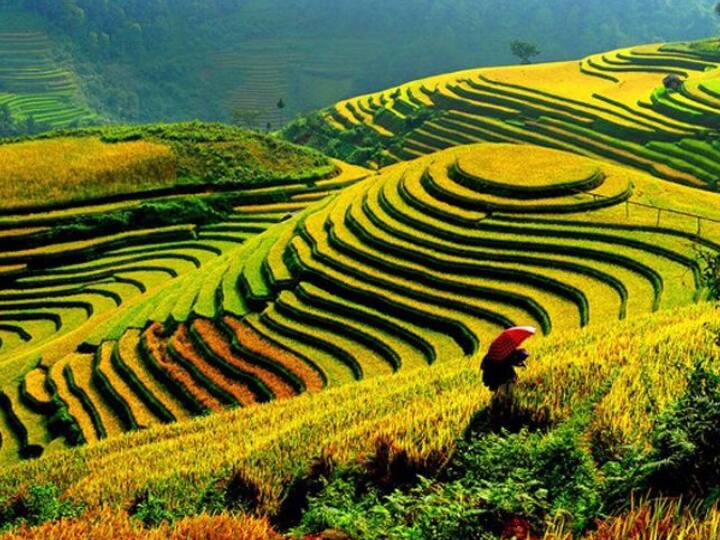 travel travel tips vietnam visit plan find cheap plan like kashmir trip flight fare hotel food Travel Tips:કશ્મીરના ખર્ચમાં તમે આ દેશ ફરી સકો છો,રહવાનું અને જમવાનું એટલું સસ્તું છે કે ઓછામાં ઓછું 5 દિવસની ટ્રીપતો કરશો