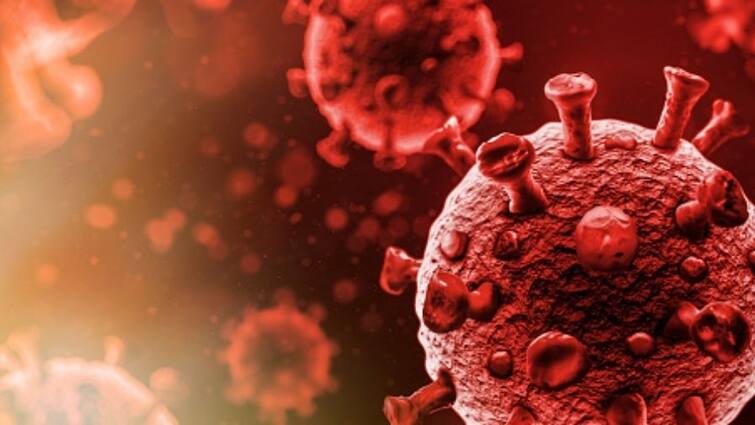 Wuhan lab leak possible origin Sars COV2 COVID-19 says Indian scientist couple Pune Corona Origin Speculations: উহানের ল্যাব থেকেই ছড়িয়েছে করোনার ভাইরাস, দাবি পুণের বিজ্ঞানী দম্পতির