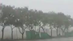 Cyclone Yaas | West Bengal, Odisha में हाई अलर्ट, कई जगह मूसलाधार बारिश और पेड़ गिरने की खबर | टॉप 20