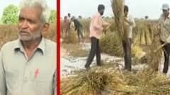 જૂનાગઢનાં મેંદરડા ગામના ખેડૂતોનું દર્દ