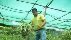 कोरोना ने जगाया लोगों में प्रकृति प्रेम, ऑक्सीजन चाहिए तो लगाइए पेड़