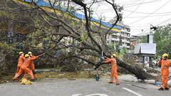 Yaas Cyclone Preparation: আমফানের অভিজ্ঞতা থেকে শিক্ষা, ইয়াস-বিপর্যয় এড়াতে রাস্তার বড় গাছ ছাঁটাই ওয়াটগঞ্জে