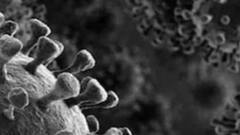 કચ્છમાં 14 વર્ષની કિશોરીને મ્યુકરમાઇકોસિસ, ડાયાબિટીસ ન હોવા છતાં ફંગસનો શિકાર