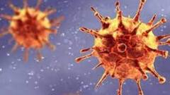 Bengal Corona Update: রাজ্যে একদিনে মৃত ১৫৭, শুধু উত্তর ২৪ পরগনাতেই মৃত ৪৬