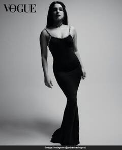 Priyanka Chopra | देसी गर्ल प्रियंका चोप्राचं नवीन फोटोशूट; सोशल मीडियावर धुरळा! पाहा फोटो