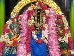திருவண்ணாமலை : பக்தர்கள் இன்றி எளிமையாக நடந்த வைகாசி விசாகத் திருவிழா