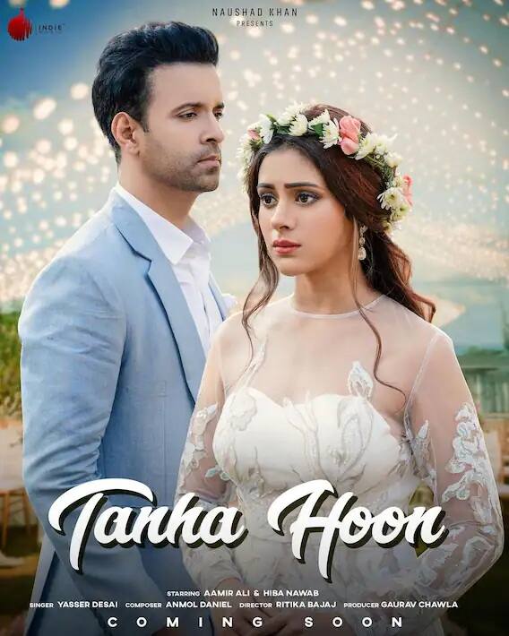 હિબા નવાબ Tanha Hoon વીડિયો સૉન્ગમાં ગયા વર્ષે દેખાઇ હતી. આમાં તેના અપૉઝિટ એક્ટર આમિર અલી છે.