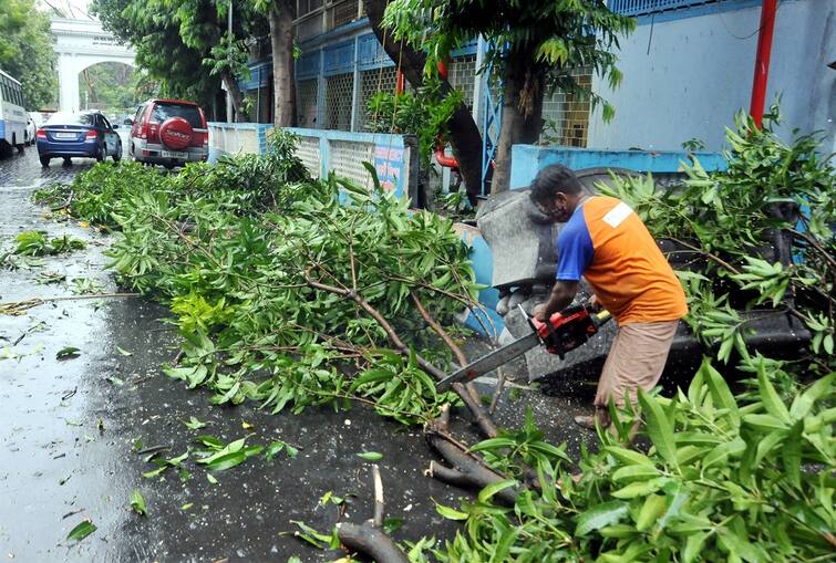 Cyclone Yaas: final preparation by NDRF, KMC And Power Department with tree cut down and other precautions to combat cyclone Cyclone Yaas in Bengal: আমফান থেকে শিক্ষা, ইয়াসের আগে বিভিন্ন জায়গায় কাটা হল গাছের ডাল, বাড়তি সতর্ক বিদ্যুৎ দফতর