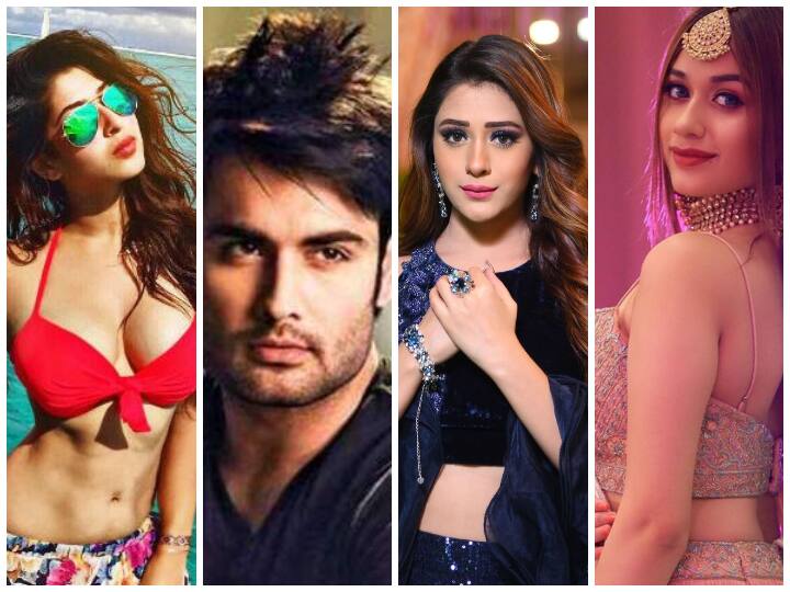 सुपरस्टार सलमान खान का एक उसूल है कि वो स्क्रीन पर इंटिमेट सीन्स नहीं करेंगे. हाल ही में Jijaji Chhat Par Koi Hai की लीडिंग एक्ट्रेस हिबा नवाब ने भी कहा कि वो ना कभी बिकिनी पहनेंगी और ना ही बोल्ड सीन्स करेंगी. आज आपको बता रहे हैं टीवी दुनिया के ऐसे ही सितारों के बारे में जिन्होंने स्क्रीन पर हॉट और बोल्ड सीन देने से इंकार कर दिया.