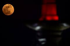 IN PICS | Super Flower Blood Moon Illuminates Night Sky - Check These Stunning Images Captured In India