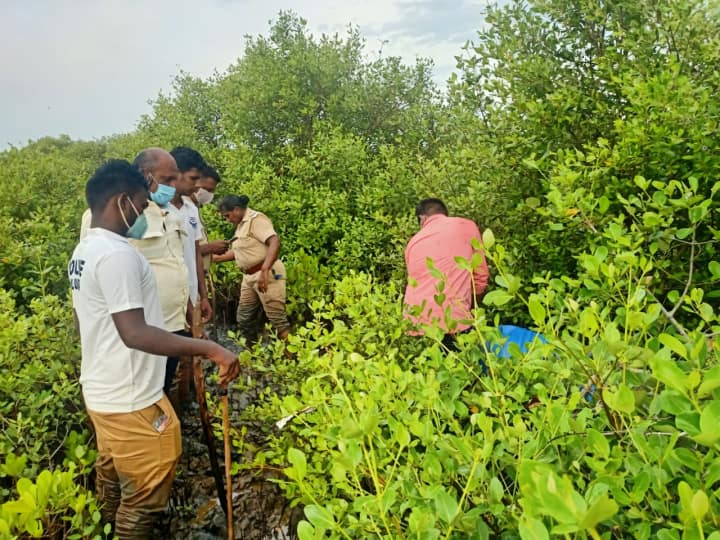 சீர்காழி : அலையாத்தி காட்டில் பதுக்கி வைக்கப்பட்டிருந்த சாராய ஊரல்கள் அழிப்பு
