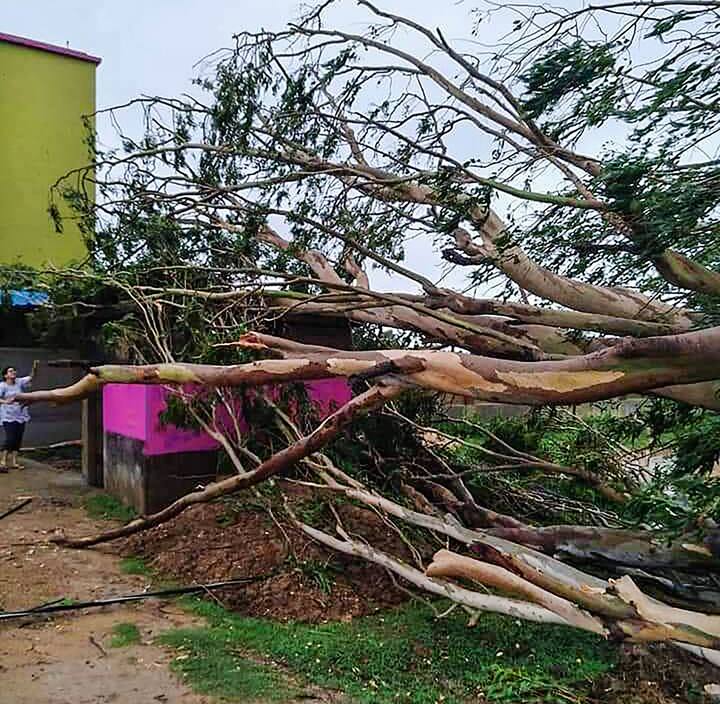 বালেশ্বর জেলার বাকি অংশের সঙ্গে কার্যত যোগাযোগ বিচ্ছিন্ন হয়ে গিয়েছে যোগাযোগ।(ছবি-ঘেরি গ্রামে বাড়ির একাংশের ওপর উল্টে পড়েছে গাছ)