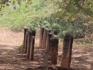 தமிழுக்கு செம்மொழி அந்தஸ்து கொடுத்த புள்ளிமான் கோம்பை நடுகற்கள்