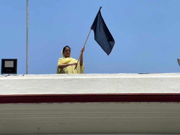 ਸਾਬਕਾ ਕੇਂਦਰੀ ਮੰਤਰੀ ਬੀਬਾ ਹਰਸਿਮਰਤ ਬਾਦਲ ਨੇ ਵੀ ਕਿਸਾਨਾਂ ਦੇ ਸਮਰਥਨ ਵਿੱਚ ਆਪਣੀ ਦਿੱਲੀ ਰਿਹਾਇਸ਼ ਤੇ ਕਾਲਾ ਝੰਡਾ ਲਗਾਇਆ ਅਤੇ ਕਿਸਾਨਾਂ ਦੇ ਸਮਰਥਨ ਵਿੱਚ ਨਾਅਰੇਬਾਜ਼ੀ ਵੀ ਕੀਤੀ।