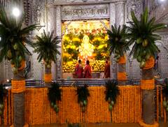 PHOTO : पुष्टिपती विनायक जयंती निमित्त पुण्याच्या श्रीमंत दगडूशेठ गणपती मंदिरात शहाळे महोत्सव