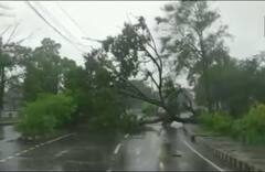Yaas Cyclone: झारखंड पहुंचा चक्रवाती तूफान ‘यास, तूफानी हवाओं के साथ तेज बारिश
