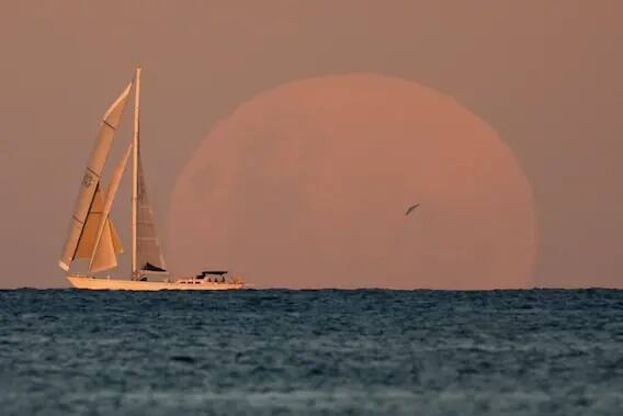 ऑस्ट्रेलियाच्या सिडनी शहरात बोटीच्या दुसर्या बाजूला एक सुंदर चंद्रग्रहण दिसले. चंद्र किंचित लाल आणि नारंगी रंगाचा दिसत होता.