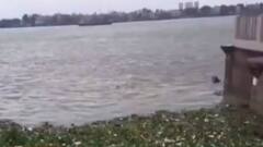 Cyclone Yaas Update: ভরা কোটালের সঙ্গে ইয়াস, জোড়া ফলায় জল থইথই বেলুড় মঠ ও কপিল মুনির আশ্রম চত্বর