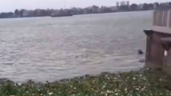 Cyclone Yaas Update: ভরা কোটালের সঙ্গে ইয়াস, জোড়া ফলায় জল থইথই বেলুড় মঠ ও কপিল মুনির আশ্রম চত্বর