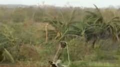 તૌકતે વાવાઝોડાએ હિંડોરણાના ખેડૂતોની 30 વર્ષની મહેનત પર ફેરવ્યું પાણી, શું કરી માંગ?