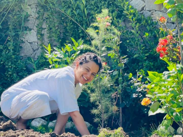 Kangana Ranaut Plants Trees In Tauktae Aftermath; Requests BMC, Gujarat Govt to Follow Suit Kangana Ranaut Plants Trees In Tauktae Aftermath; Requests BMC, Gujarat Govt to Follow Suit