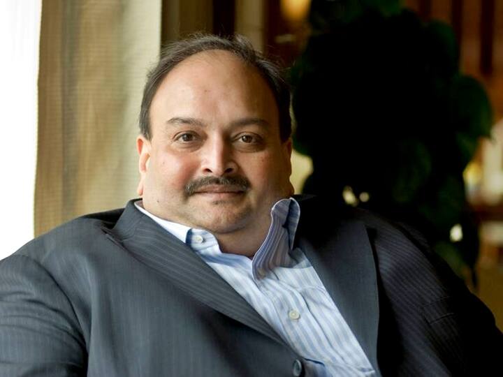 Mehul Choksi Claims He Was Kidnapped And Brought To Domenica, His Lawyer Tells ABP News Mehul Choksi Was Kidnapped & Brought To Dominica, Claims Fugitive Businessman's Lawyer