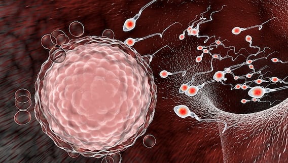 ਕੋਰੋਨਾਵਾਇਰਸ ਦਾ ਮਰਦਾਨਾ ਤਾਕਤ ਉੱਤੇ ਮਾੜਾ ਅਸਰ? ਮਾਹਿਰਾਂ ਨੇ ਦੱਸੀ ਅਸਲੀਅਤ ਕੋਰੋਨਾਵਾਇਰਸ ਦਾ ਮਰਦਾਨਾ ਤਾਕਤ ਉੱਤੇ ਮਾੜਾ ਅਸਰ? ਮਾਹਿਰਾਂ ਨੇ ਦੱਸੀ ਅਸਲੀਅਤ