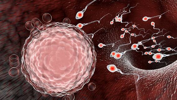 ਕੋਰੋਨਾਵਾਇਰਸ ਦਾ ਮਰਦਾਨਾ ਤਾਕਤ ਉੱਤੇ ਮਾੜਾ ਅਸਰ? ਮਾਹਿਰਾਂ ਨੇ ਦੱਸੀ ਅਸਲੀਅਤ