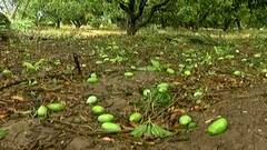 'મને લાગે કે આ જગતનો તાત સરકારની મદદ વગર હવે ઉભો થઇ શકે એમ નથી'