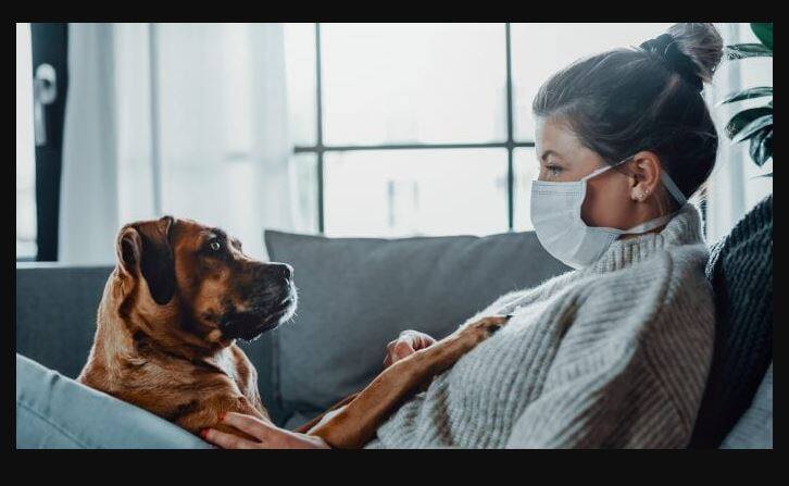 Discovery of a new corona virus, likely to spread from dogs to humans ਕੋਰੋਨਾ ਦੀ ਲੱਭੀ ਨਵੀਂ ਕਿਸਮ! ਕੁੱਤਿਆਂ ਤੋਂ ਮਨੁੱਖਾਂ ’ਚ ਆਉਣ ਦਾ ਖਤਰਾ