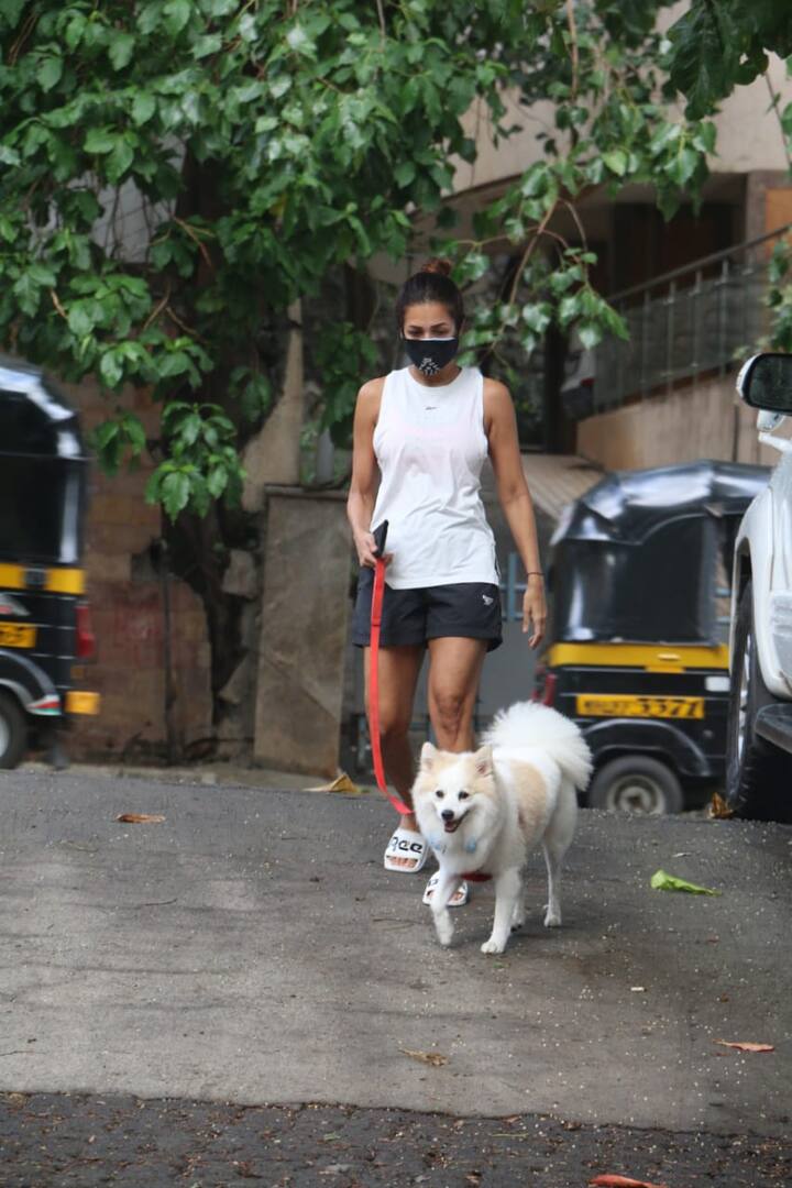 अक्सर ही ऐसा होता है कि ये अभिनेत्री घर से निकलकर सड़क पर वॉक करती दिखाई देती हैं.