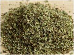 Oregano का ज्यादा इस्तेमाल हो सकता है हानिकारक! जानिए कौन सी बीमारियों की है वजह