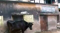 Patna में CM नीतीश के निवास से 3 km दूर, 'मॉडल स्वास्थ्य केंद्र' में बना तबेला | भारत की बात